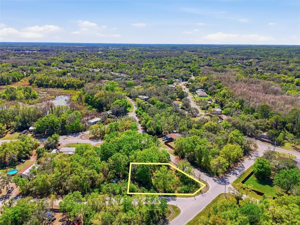 100 Fern Street New Port Richey FL 34654