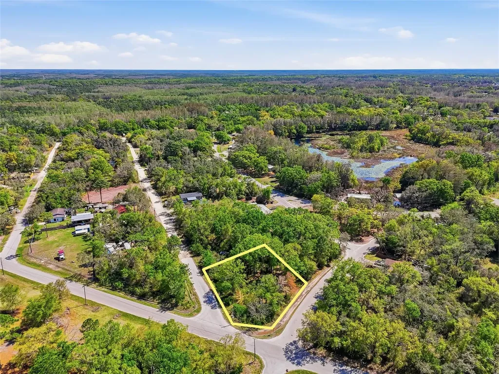 100 Fern Street New Port Richey FL 34654