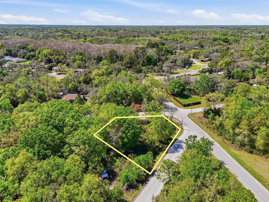 100 Fern Street New Port Richey FL 34654