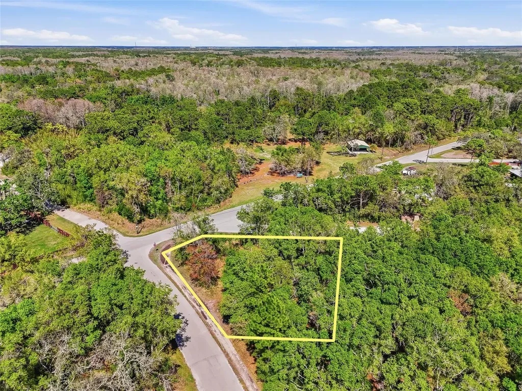 100 Fern Street New Port Richey FL 34654