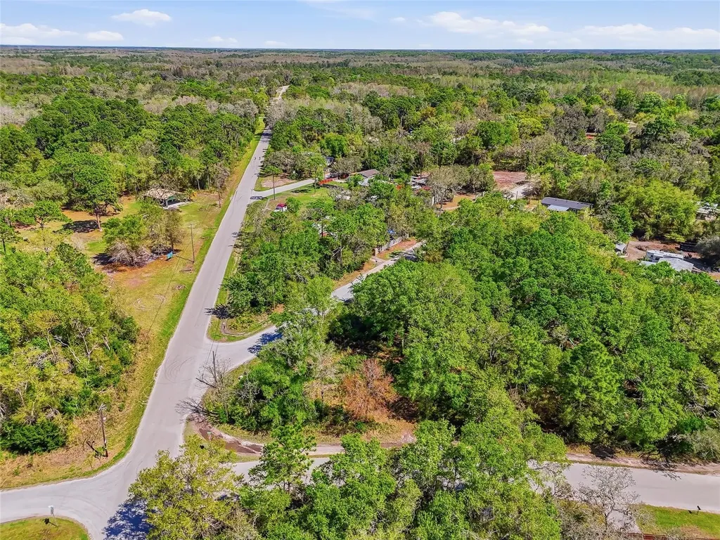 100 Fern Street New Port Richey FL 34654