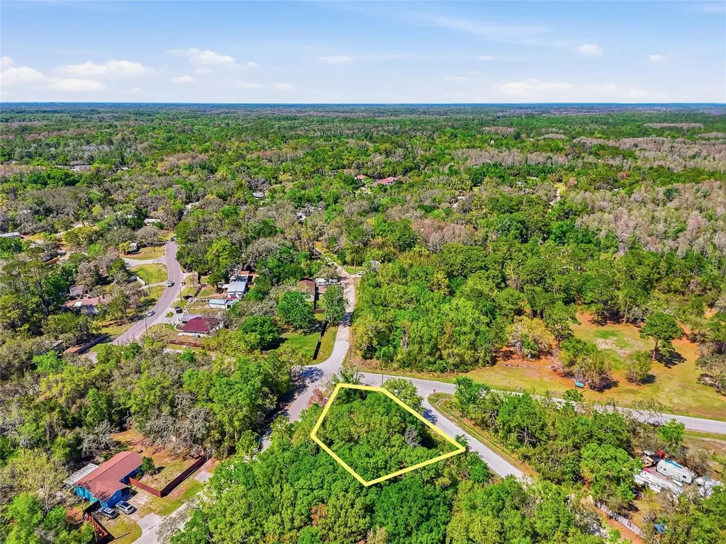 100 Fern Street New Port Richey FL 34654