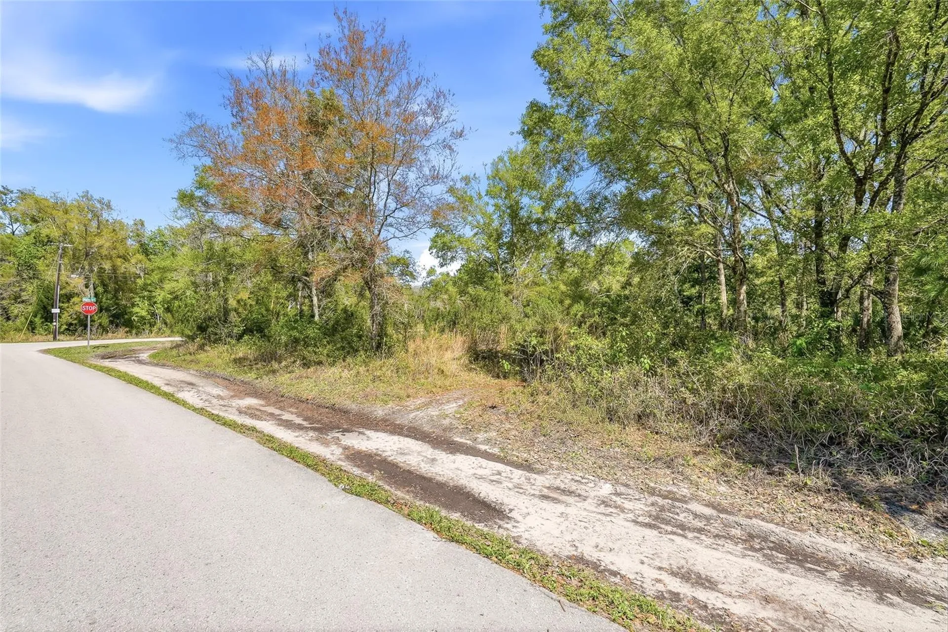 100 Fern Street New Port Richey FL 34654