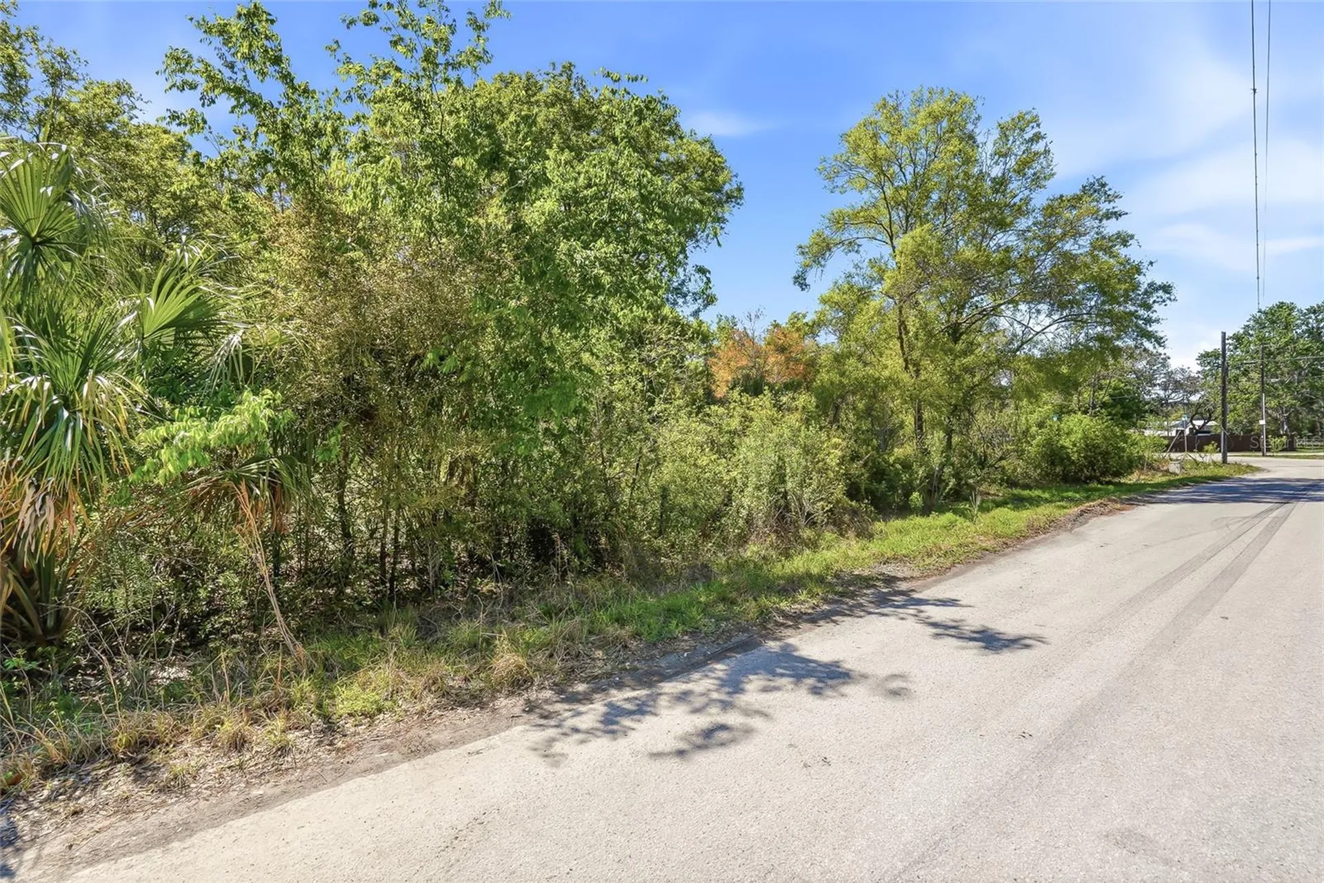 100 Fern Street New Port Richey FL 34654