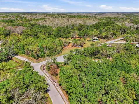 100 Fern Street New Port Richey FL 34654