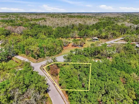 100 Fern Street New Port Richey FL 34654