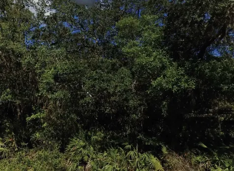 NE 47th Terrace Citra FL 32113