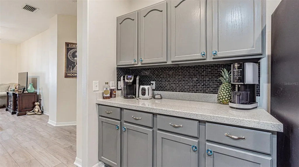 1123 Bensbrooke Drive Wesley Chapel FL 33543