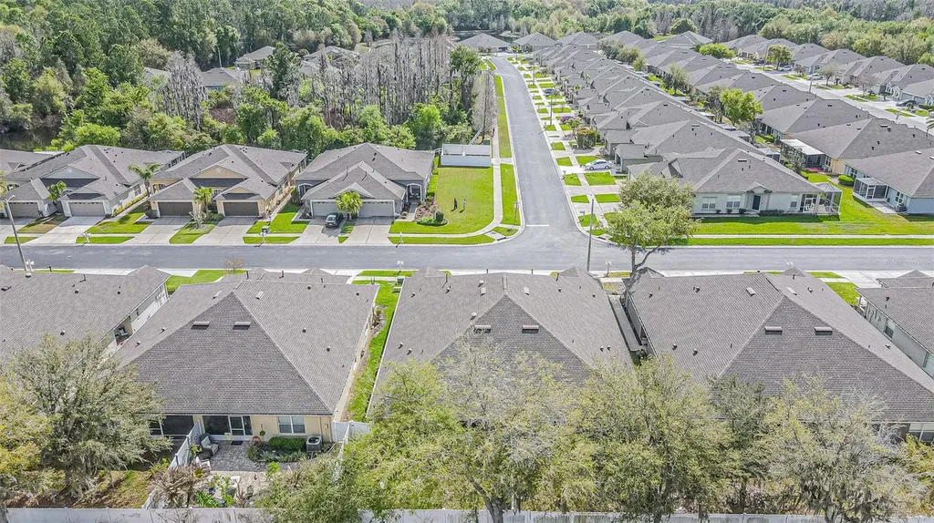 1123 Bensbrooke Drive Wesley Chapel FL 33543
