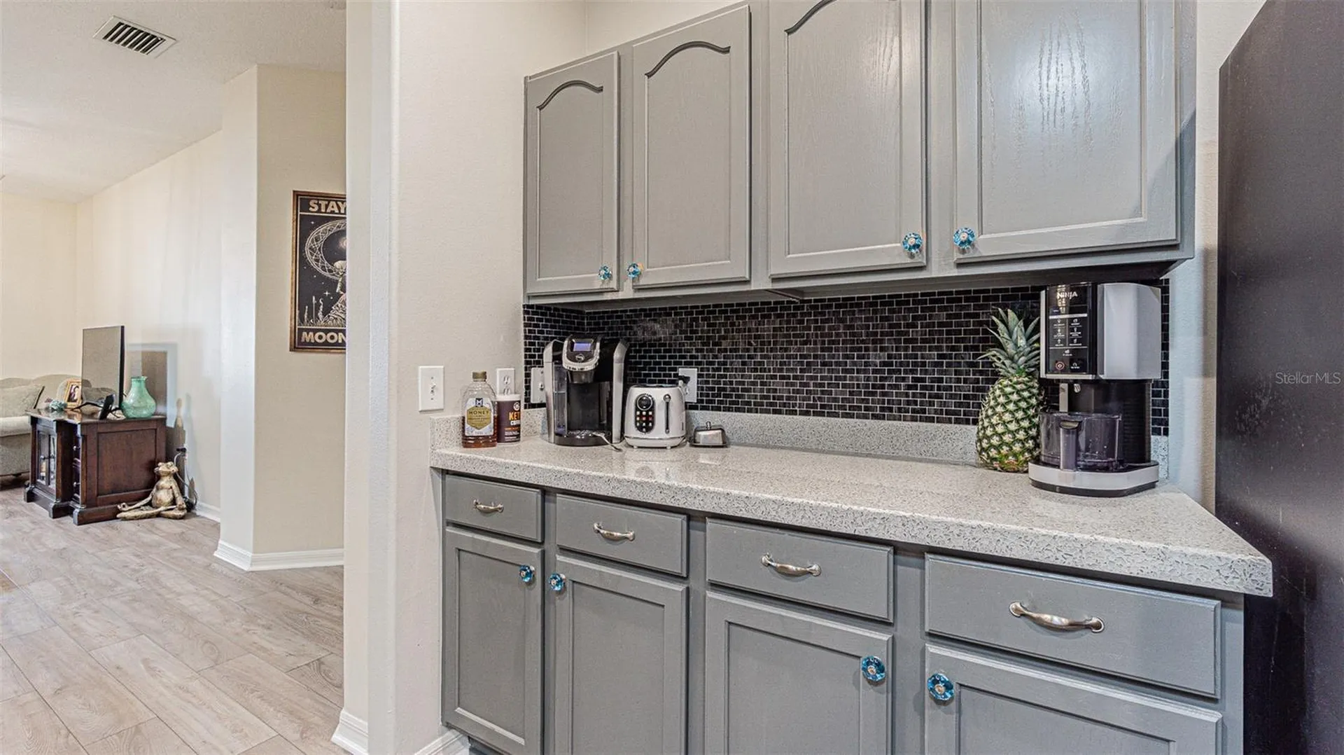 1123 Bensbrooke Drive Wesley Chapel FL 33543