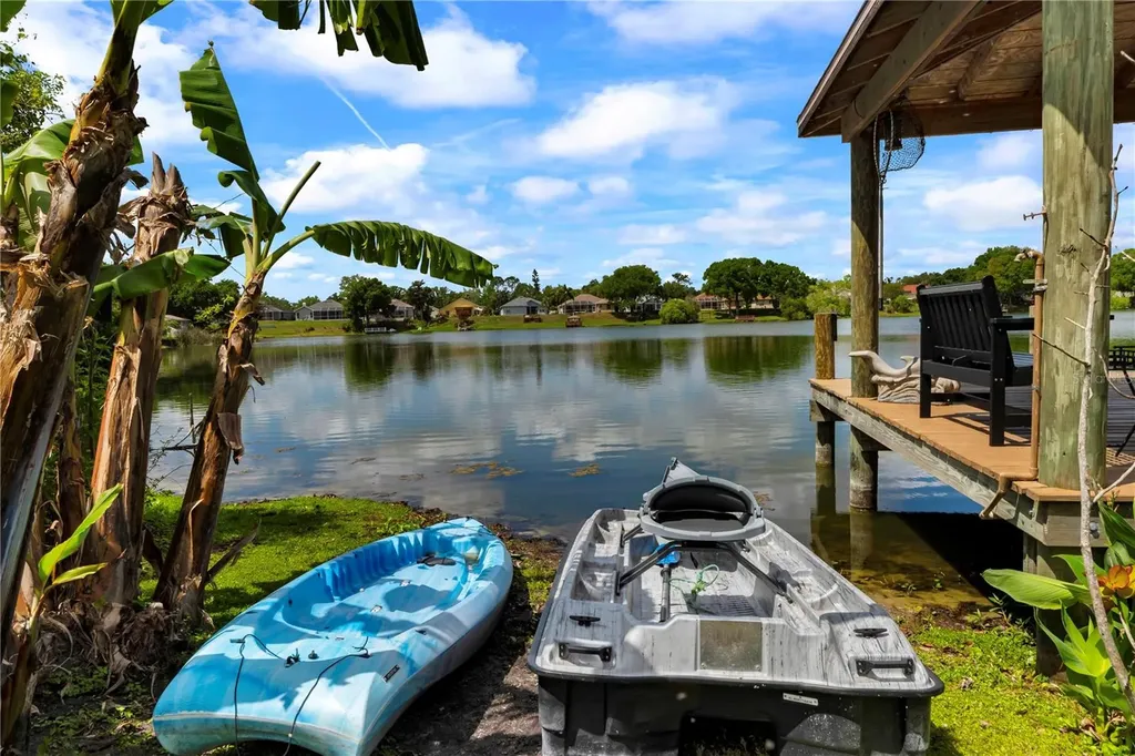 3921 Roswell Place Land O Lakes FL 34639