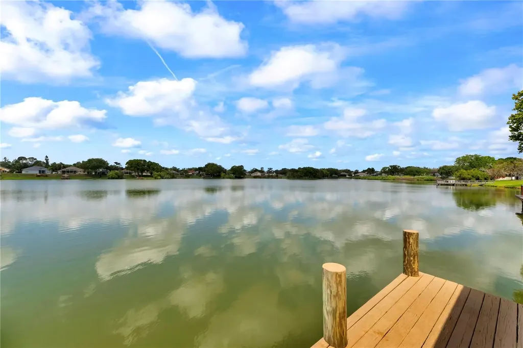 3921 Roswell Place Land O Lakes FL 34639