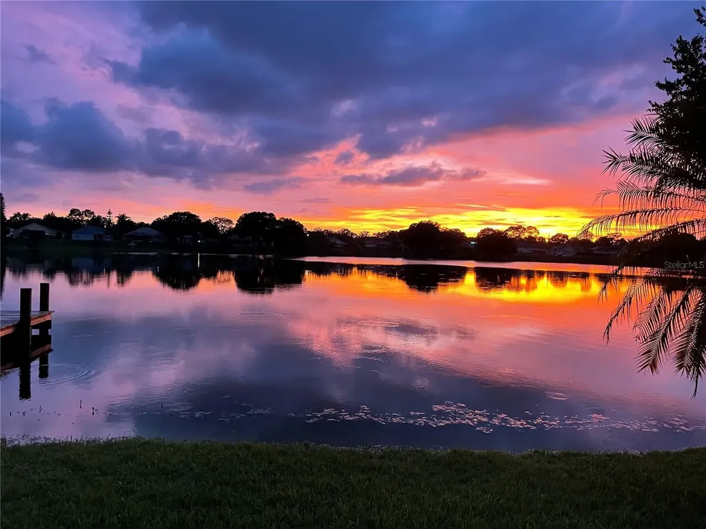 3921 Roswell Place Land O Lakes FL 34639