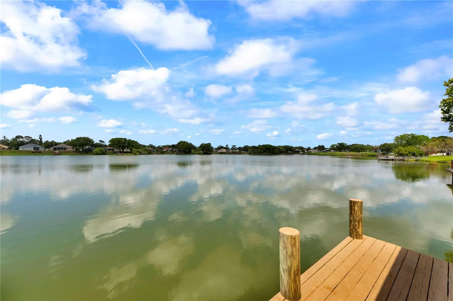 3921 Roswell Place Land O Lakes FL 34639