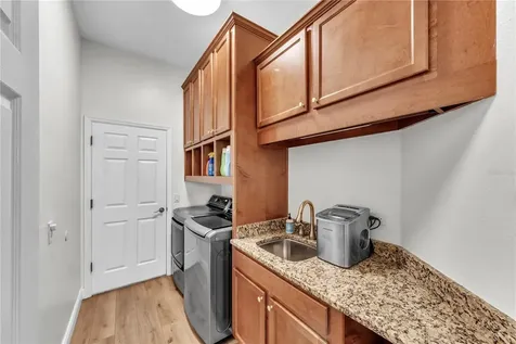 3921 Roswell Place Land O Lakes FL 34639