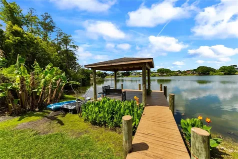 3921 Roswell Place Land O Lakes FL 34639