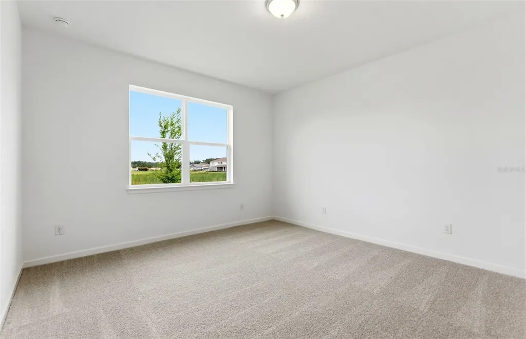37821 Clinch Circle Zephyrhills FL 33540