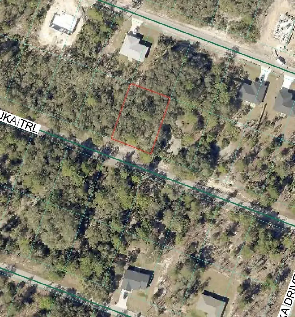 Malauka Trail Ocklawaha FL 32179