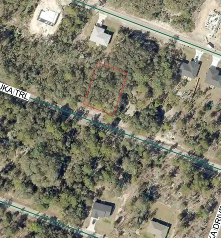Malauka Trail Ocklawaha FL 32179