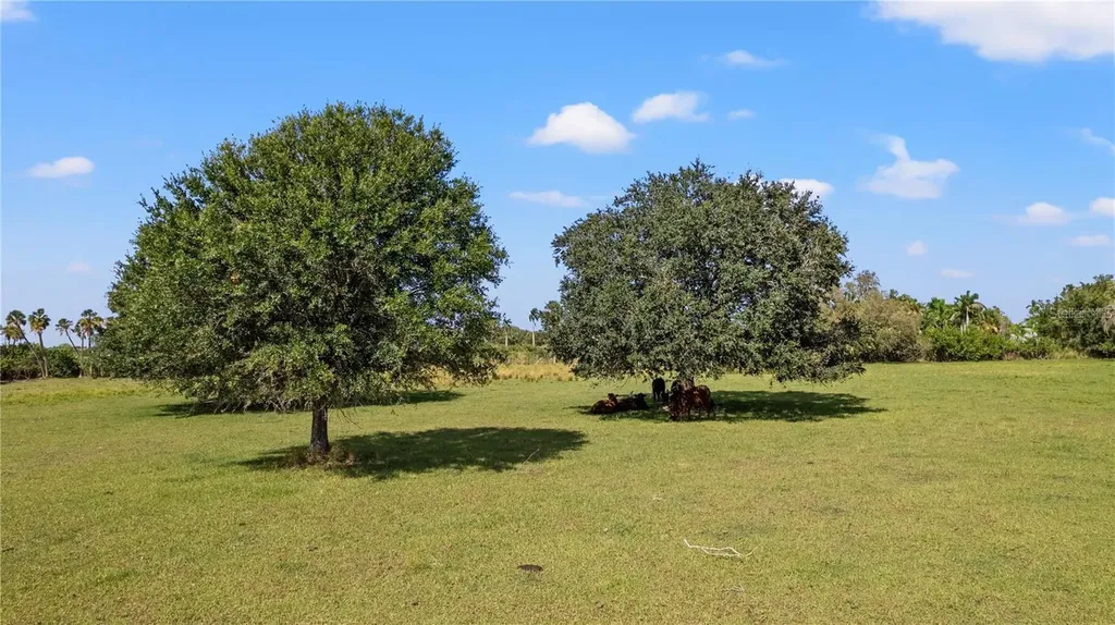 7000 Us-19 Terra Ceia FL 34250