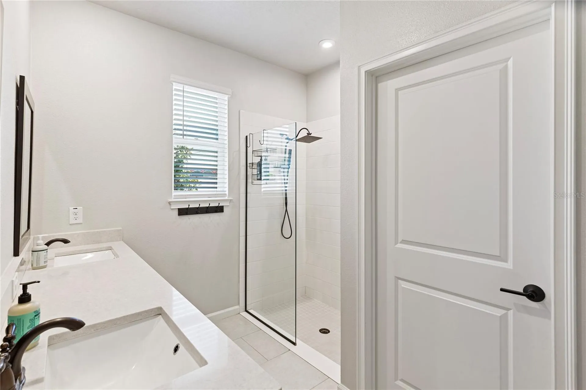 2456 Arbor Wind Drive Lutz FL 33558