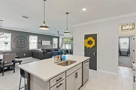 2456 Arbor Wind Drive Lutz FL 33558