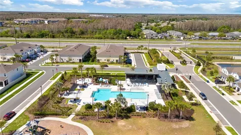 2456 Arbor Wind Drive Lutz FL 33558