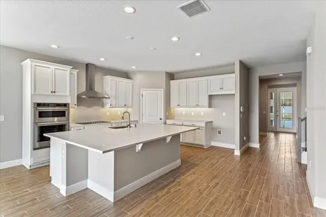 17060 Haggerty Hollow Drive Winter Garden FL 34787