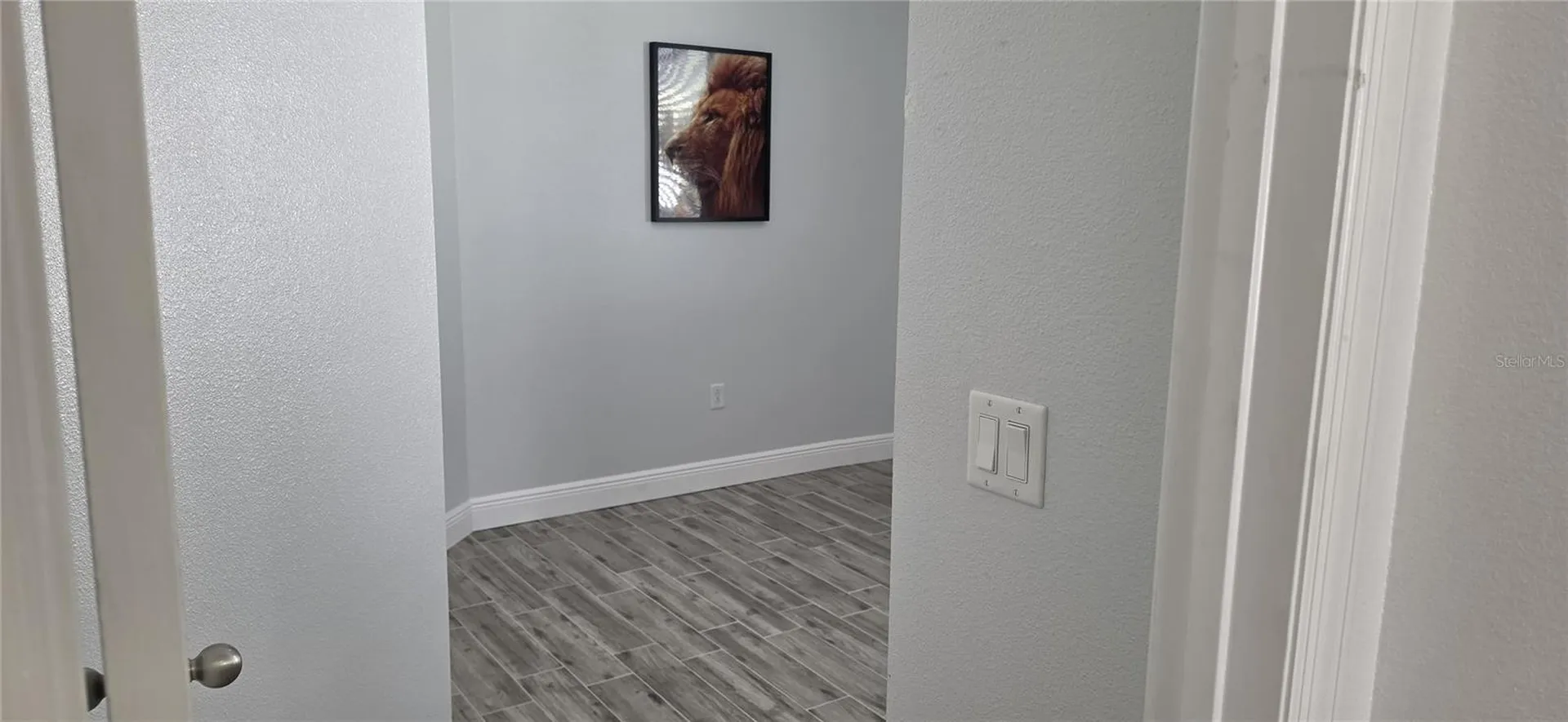 2911 Orange Haven Way Kissimmee FL 34746