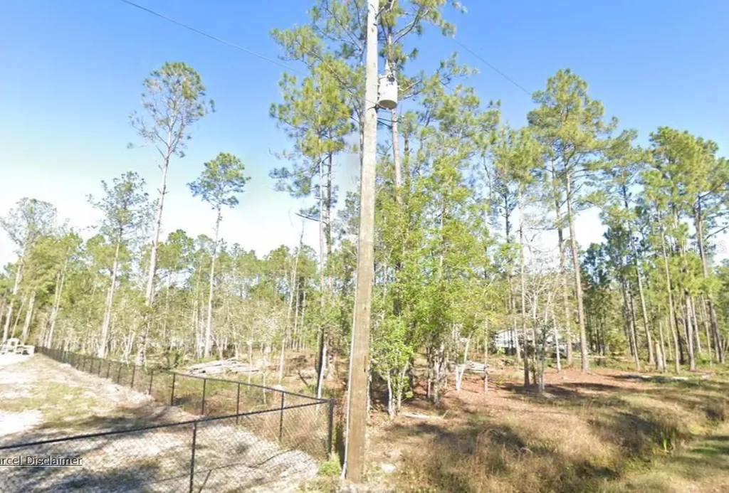 4335 Theresa Street Hastings FL 32145