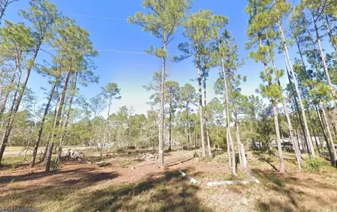 4335 Theresa Street Hastings FL 32145