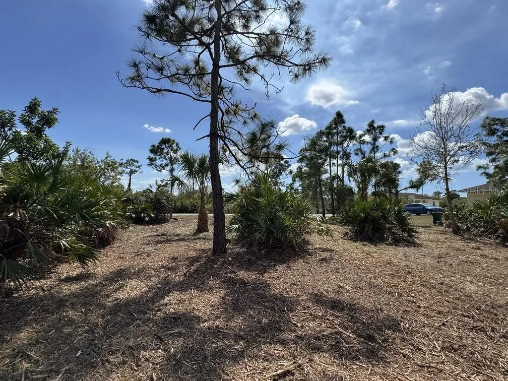 12238 Zittle Avenue Port Charlotte FL 33981