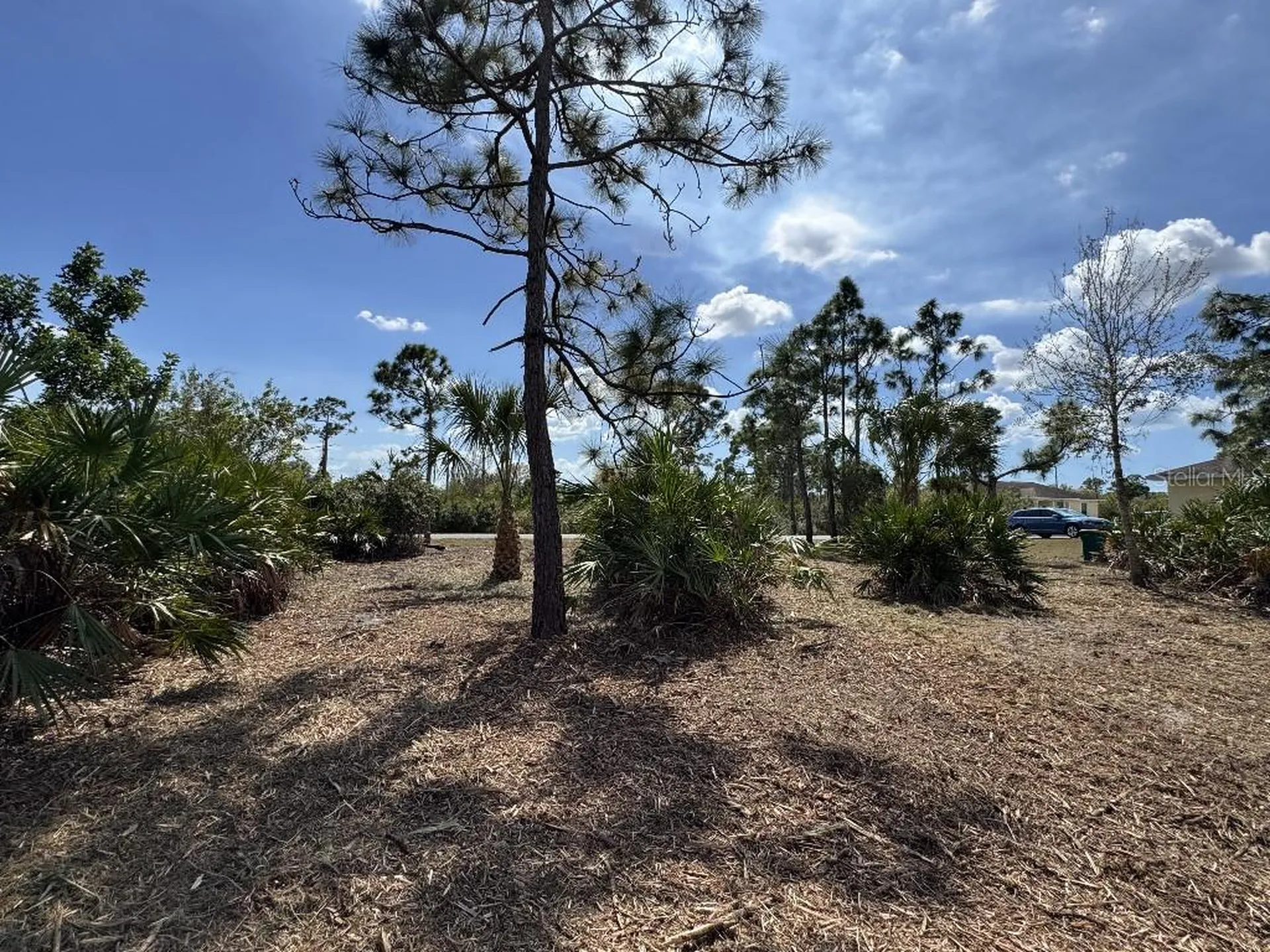 12238 Zittle Avenue Port Charlotte FL 33981