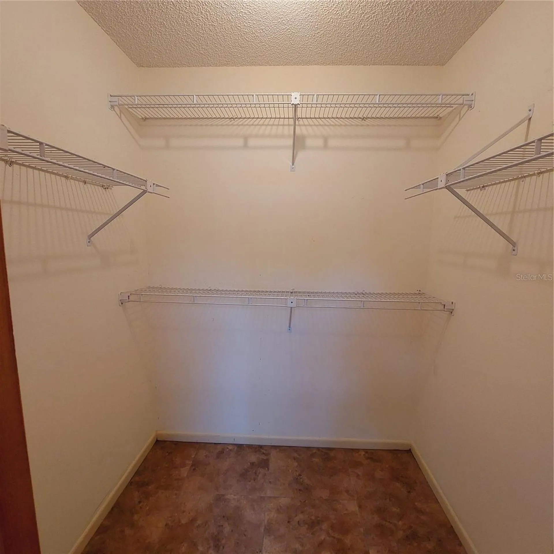 14902 Oldgate Place Tampa FL 33624