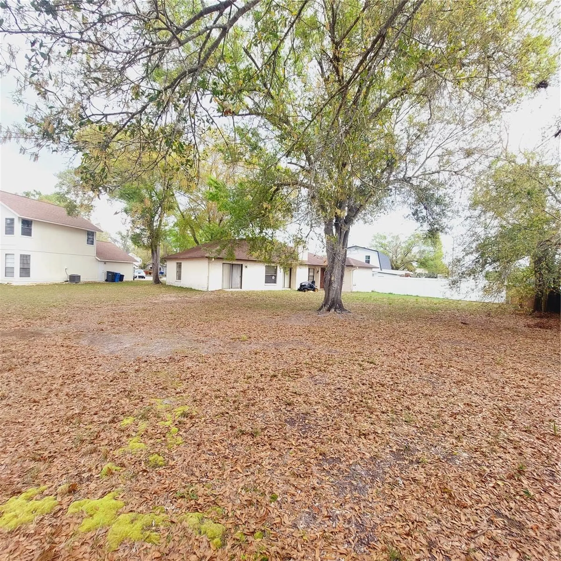14902 Oldgate Place Tampa FL 33624