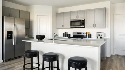 15220 Maude Landing Loop Wimauma FL 33598