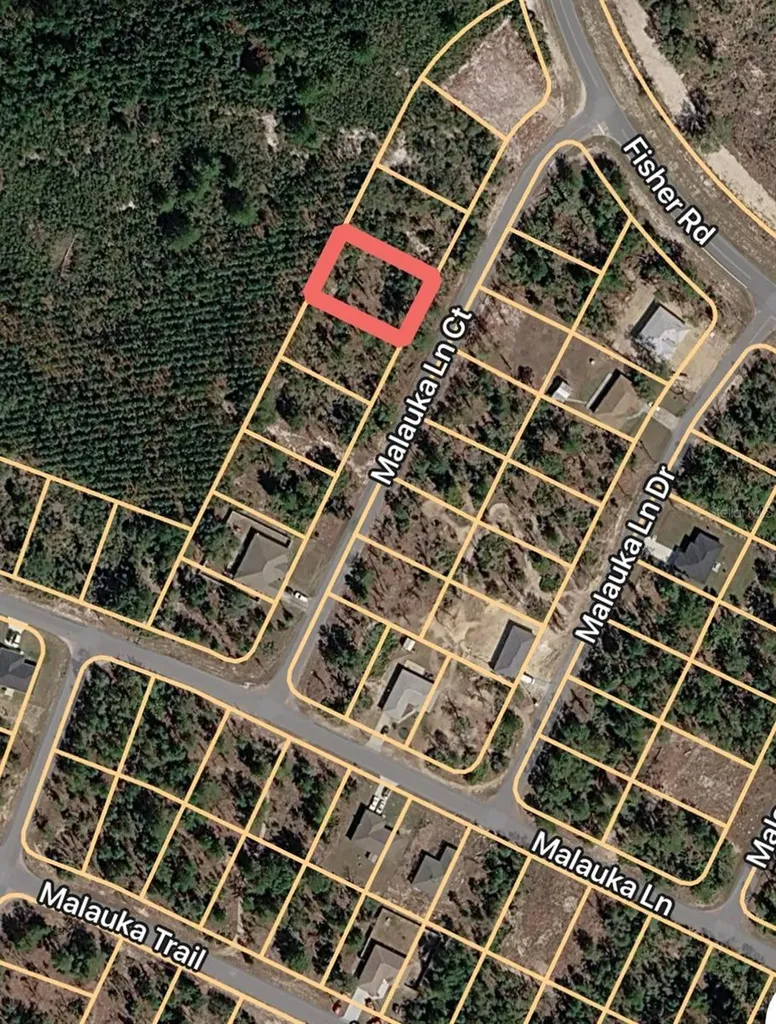 Malauka Lane Court Ocklawaha FL 32179