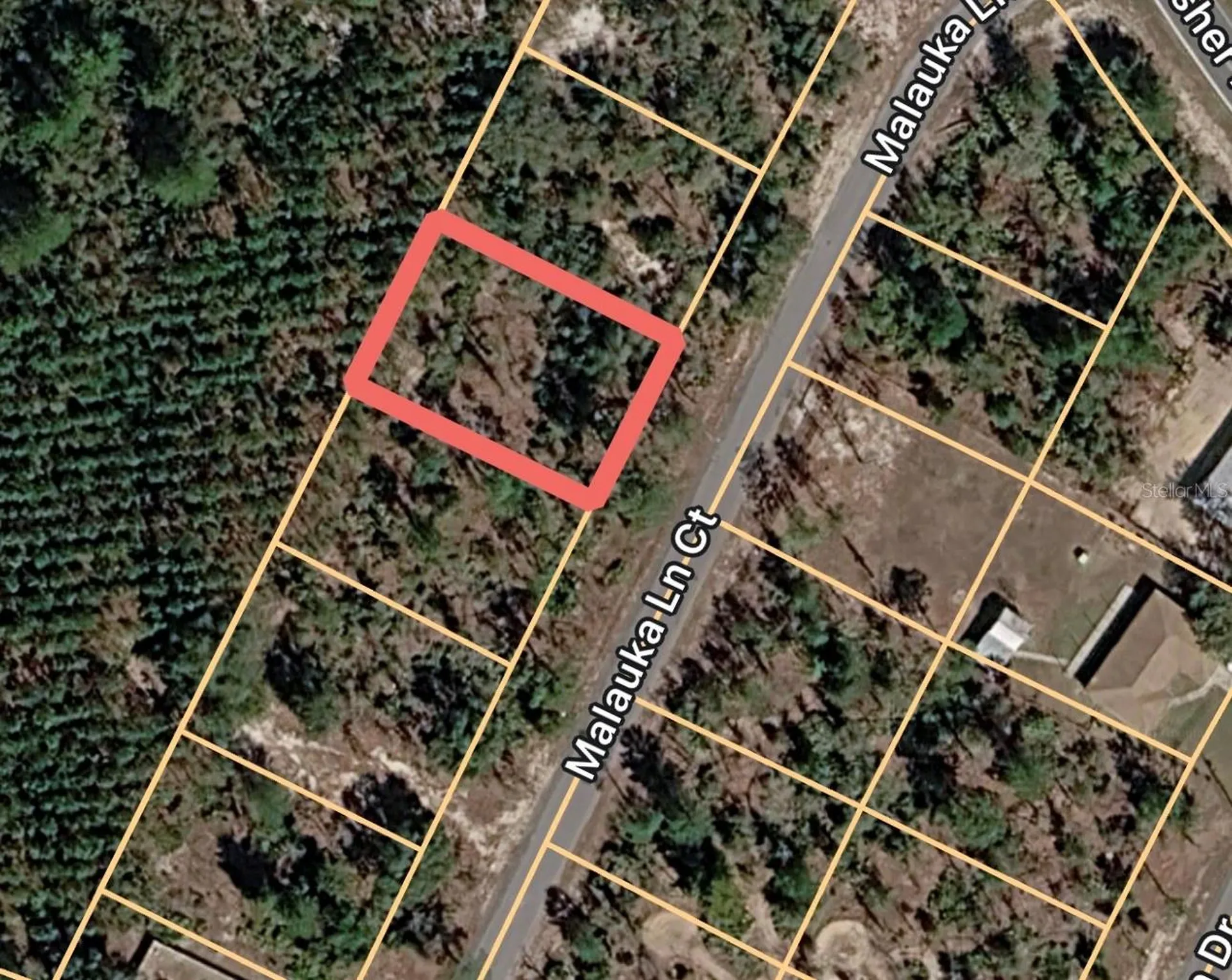 Malauka Lane Court Ocklawaha FL 32179