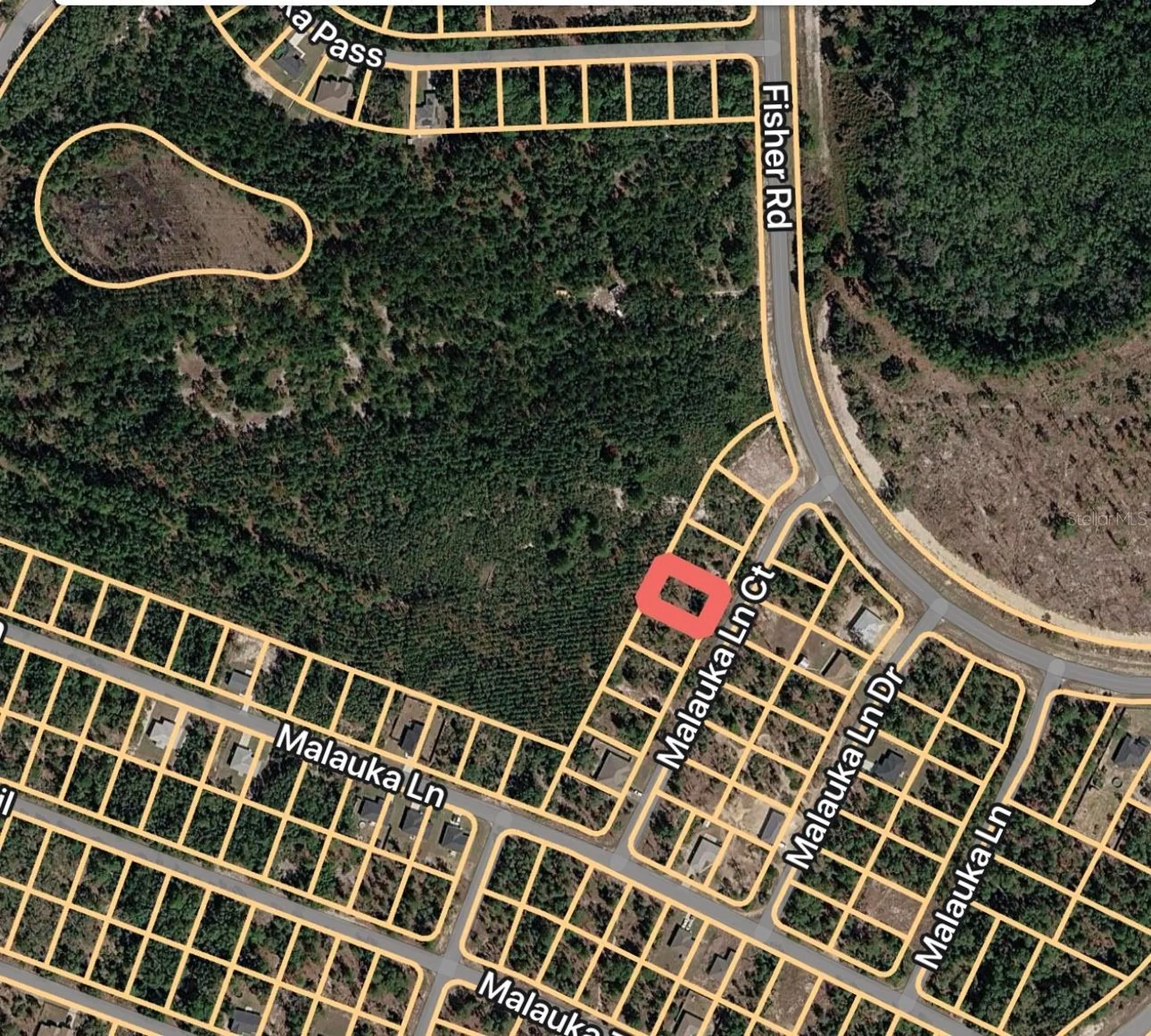Malauka Lane Court Ocklawaha FL 32179