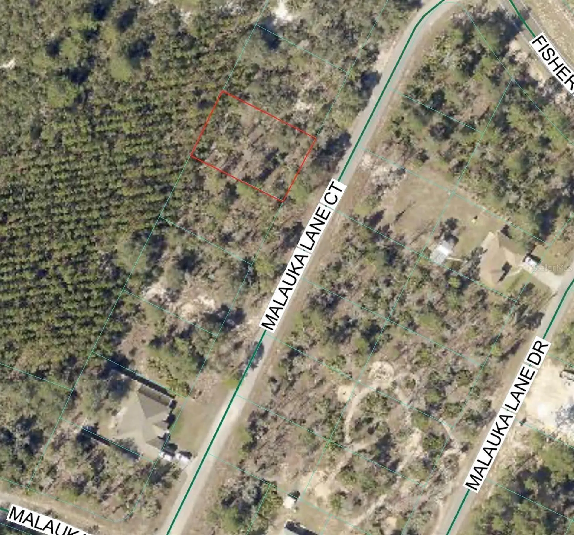 Malauka Lane Court Ocklawaha FL 32179