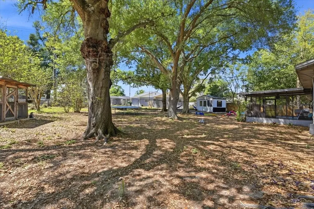 215 Carla Ann Court Auburndale FL 33823
