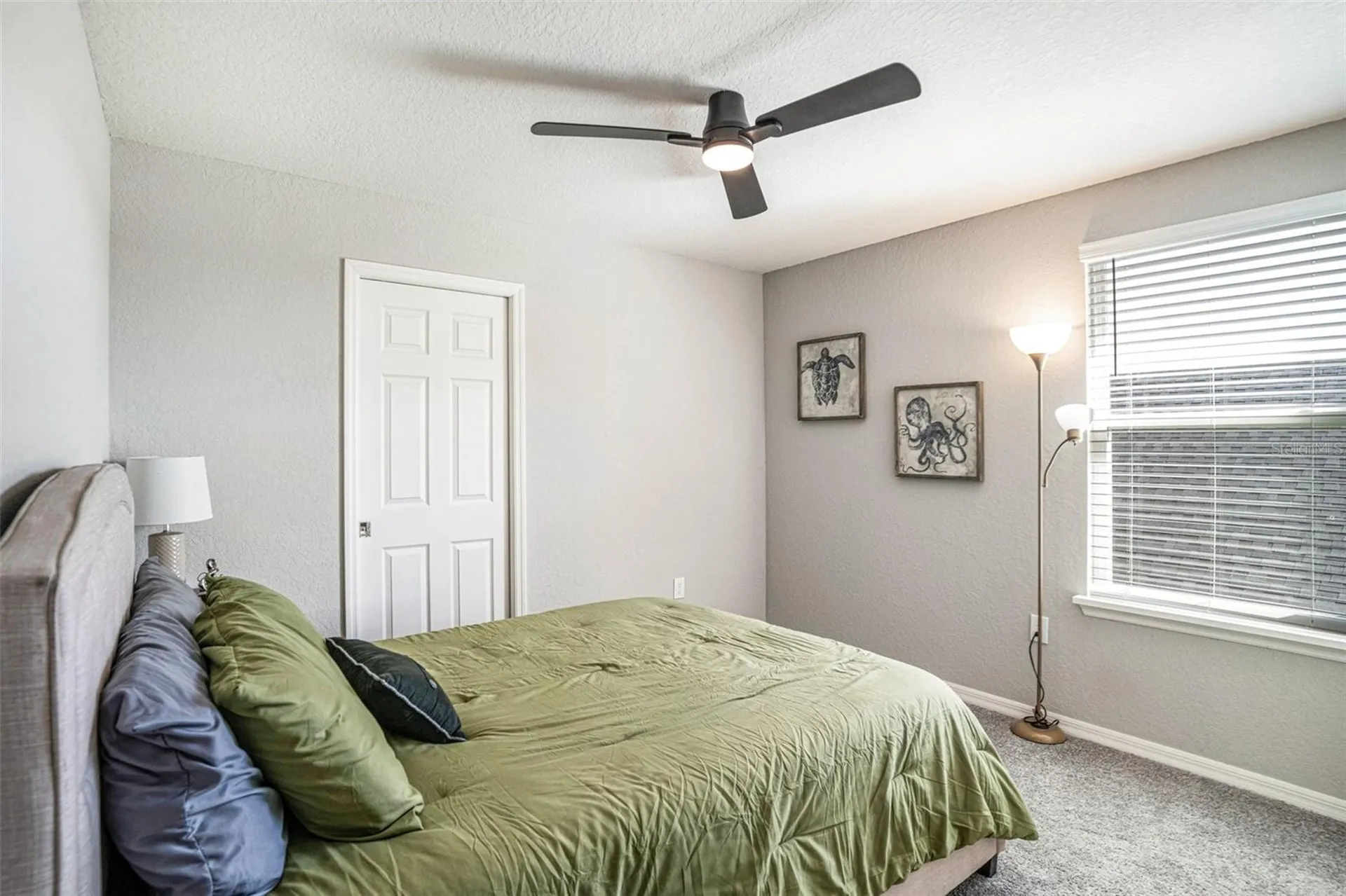 6518 Pebblebrooke Drive Zephyrhills FL 33541