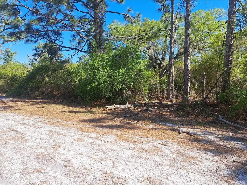 604 Camellia Drive Indian Lake Estates FL 33855