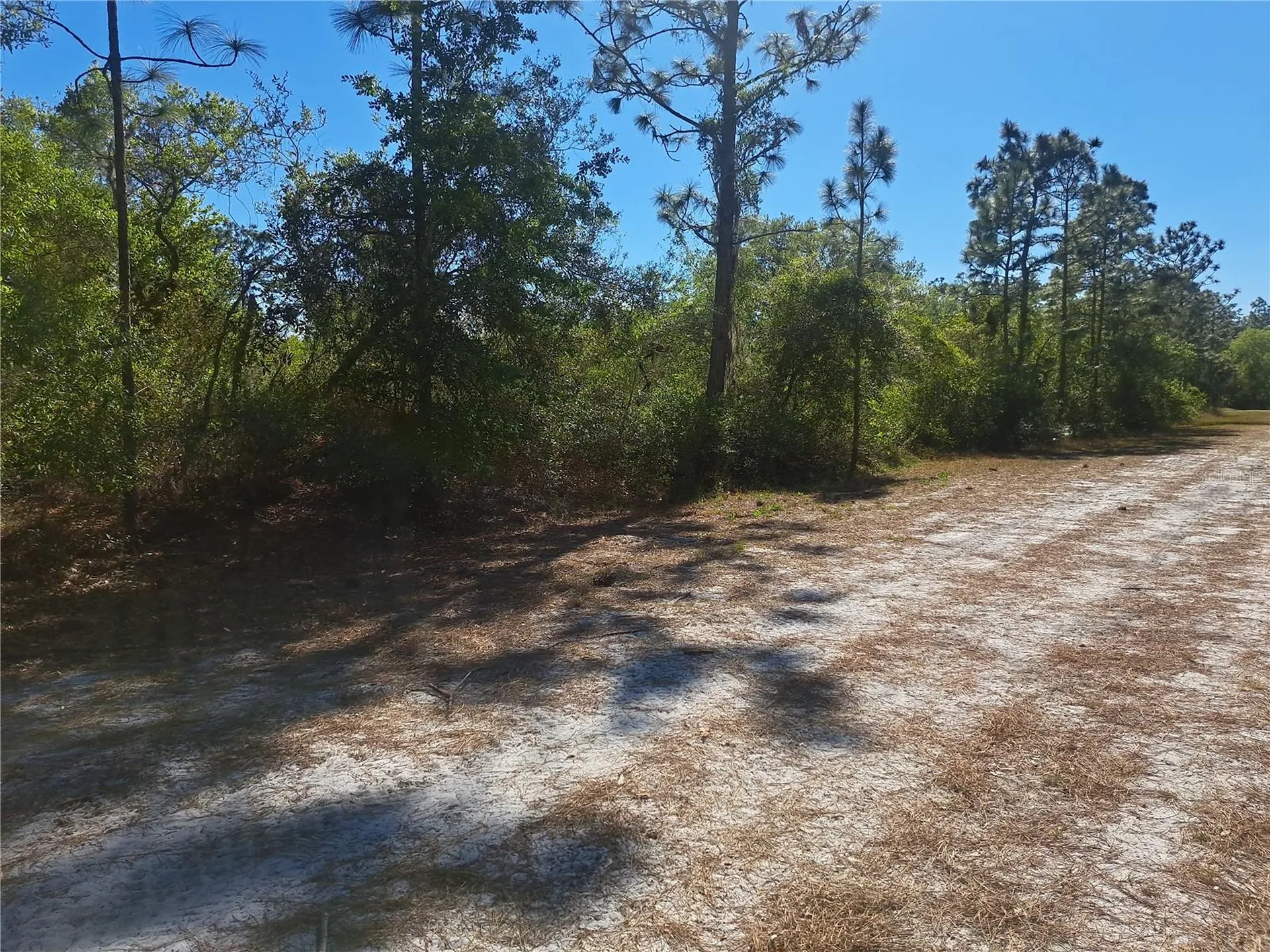 604 Camellia Drive Indian Lake Estates FL 33855