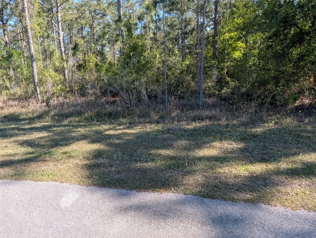 6365 Amaryllis Drive Indian Lake Estates FL 33855