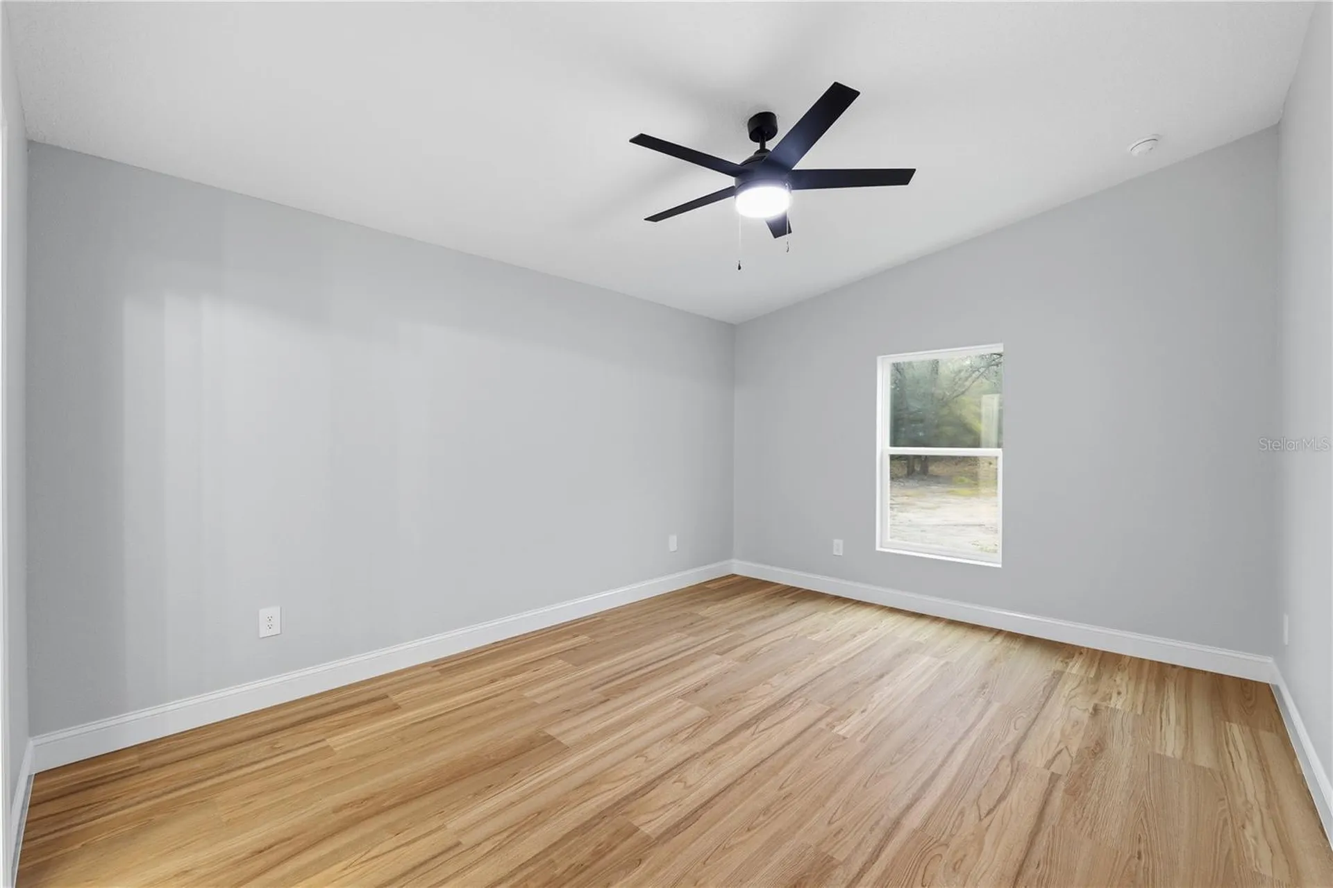 9342 Wheystone Drive Webster FL 33597