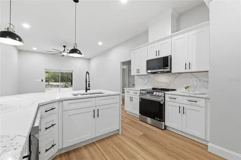 9342 Wheystone Drive Webster FL 33597