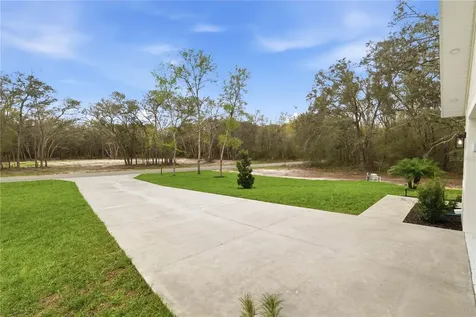 9342 Wheystone Drive Webster FL 33597