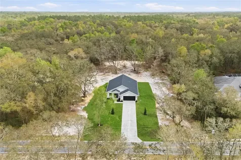 9342 Wheystone Drive Webster FL 33597