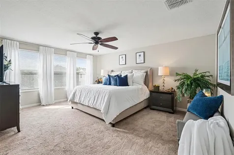 8165 Faire Frost Lane Land O Lakes FL 34637